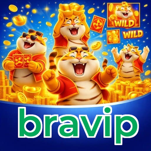 bravip Logo